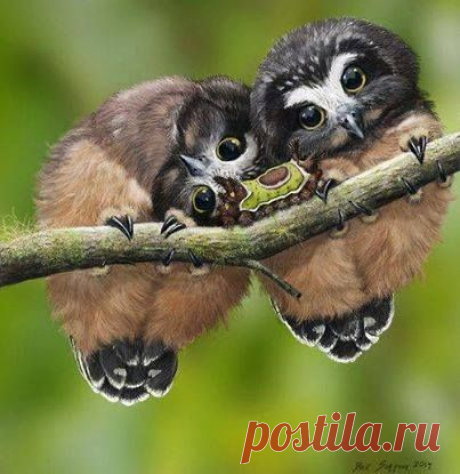 Pinterest: инструмент для поиска и хранения интересных идей