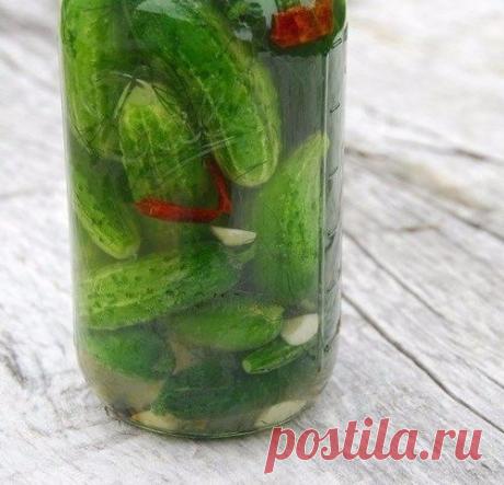 Холодные огурчики