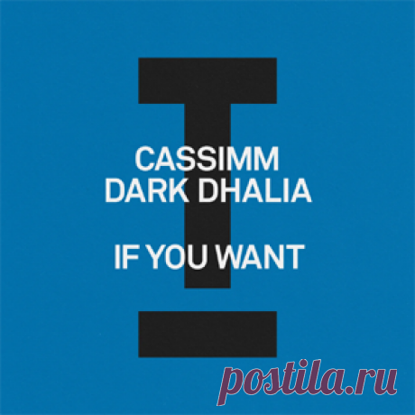 CASSIMM, Dark Dhalia - If You Want | 4DJsonline.com