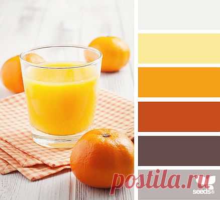 for all who ❤ color | fresh squeezed hues