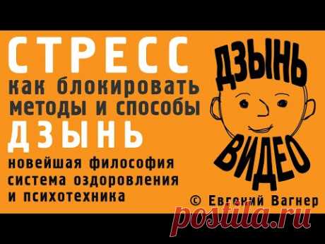 Как блокировать Стресс – методы и способы | ДЗЫНЬ Видео 5 | Евгений Вагнер