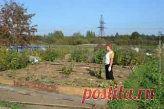 Всё что не делали, всё к лучшему! 
Однажды я поняла, что что-то в жизни идет не в ногу с природой. Мы ведём здоровый образ жизни и придерживаемся принципа: «Чисто не там где убирают, а там где не сорят».
А как же наше детище – цветник…