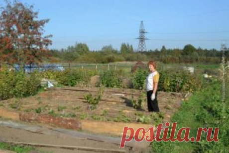 Всё что не делали, всё к лучшему! 
Однажды я поняла, что что-то в жизни идет не в ногу с природой. Мы ведём здоровый образ жизни и придерживаемся принципа: «Чисто не там где убирают, а там где не сорят».
А как же наше детище – цветник…