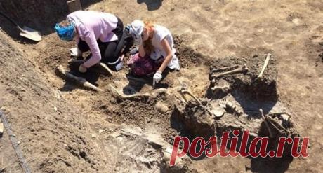 Закапывали живьем: в Крыму нашли массовое захоронение | История