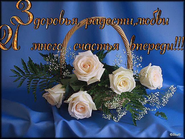0_bc1ec_ea948b68_XL.gif (650×488)