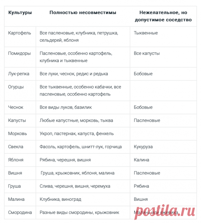 Что с чем нельзя сажать: таблица несовместимости, шпаргалка для садовода | ИДЕИ ВАШЕГО ДОМА | Дзен