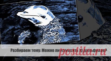 Разбираем тему: Можно ли измерить IQ дельфинов?