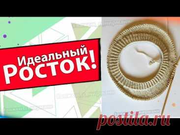 ТЕПЕРЬ ВЯЖУ РОСТОК ТОЛЬКО ТАК\ для круглой кокетки/Плюс один секрет для вас