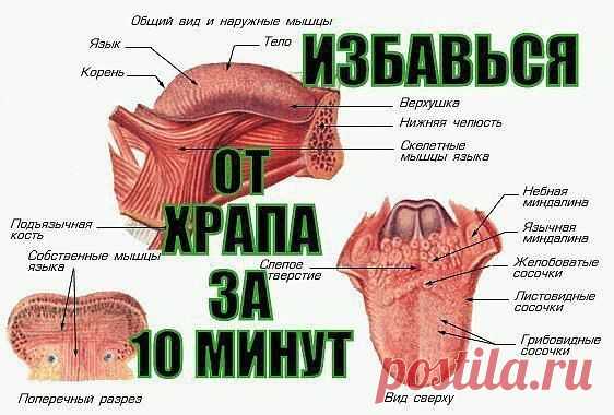 Как за 10 минут ИЗБАВИТЬСЯ ОТ ХРАПА НАДОЛГО!