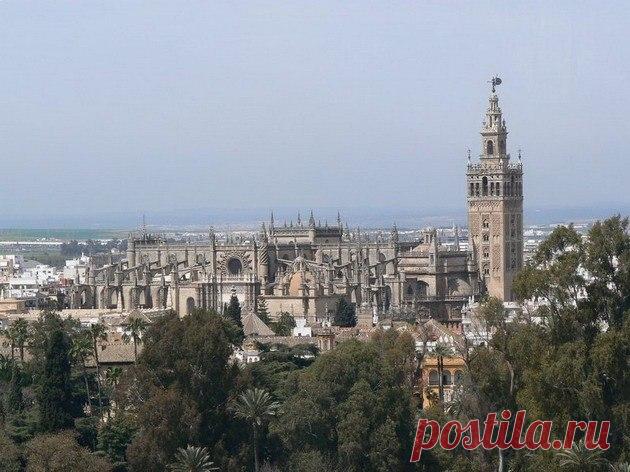 Севильский кафедральный собор Севильский кафедральный собор – третья по величине церковь в мире и самый большой из всех готических соборов.Ходят легенды, что купол его сделан из золота конкистадоров, привезенного Колумбом из Южной Америки. А что вот под сводами собора находится гробница великого первооткрывателя...
