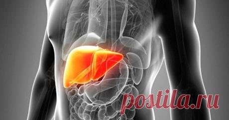 3 средства очистят печень, почки, избавят от вздутия, отёков и активизируют похудение - Живите Здорово! - медиаплатформа МирТесен