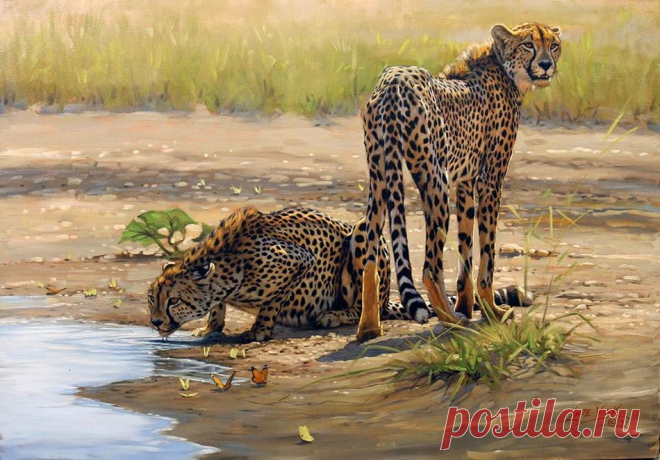 Истории из жизни животных.... Художник Lute Vink