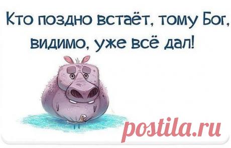 (3) Одноклассники