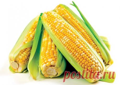 Секреты варки идеальной кукурузы — Вкусные рецепты