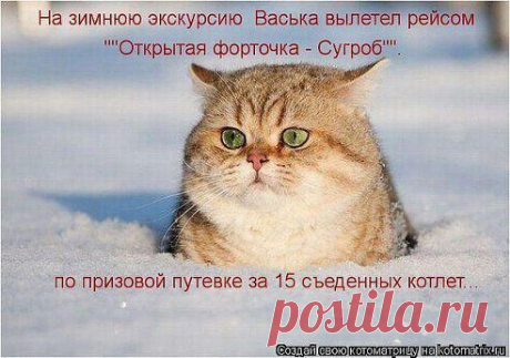 Одноклассники