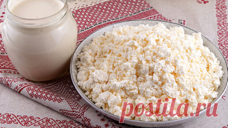 Вкуснейший Домашний Творог из кислого молока (простокваши)! Выгодно ли покупать молоко у фермеров? | Дина, Коллекция Рецептов | Дзен