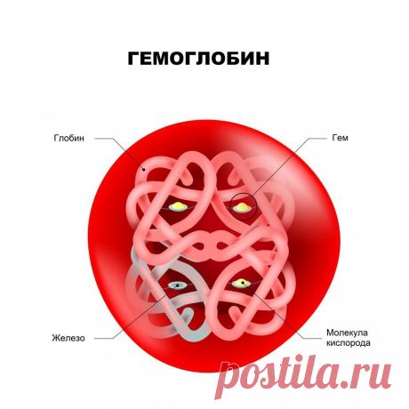 🔴 Поднимаем гемоглобин без мяса