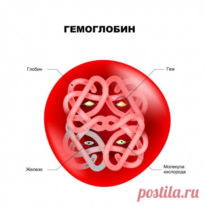 🔴 Поднимаем гемоглобин без мяса
