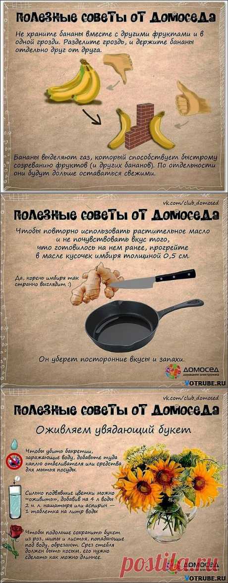 Полезные советы от Домоседа | ЖЕНСКИЙ  МИР