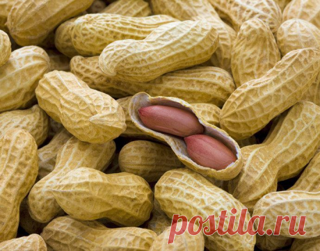 Ядовитые продукты, которые мы употребляем в пищу каждый день / Все для женщины
