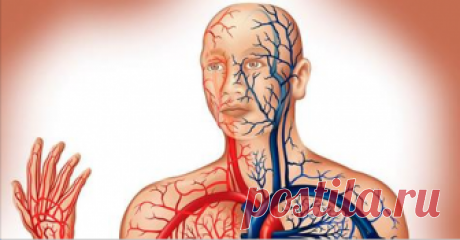 Если Вы страдаете от плохого кровообращения, вы можете решить эту проблему всего за полчаса! - Жемчужинка Улучшить кровообращение очень просто! Советы от врача в видео! В наши дни...