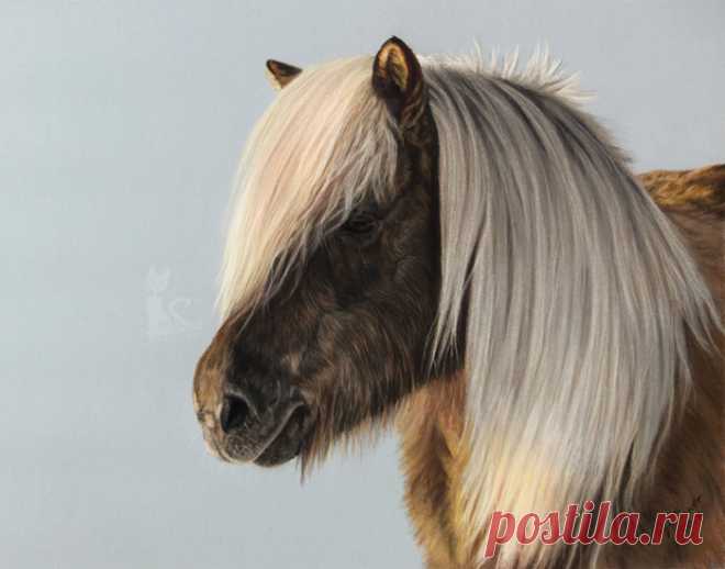 Рисунки и портреты лошадей Кати Зауэр