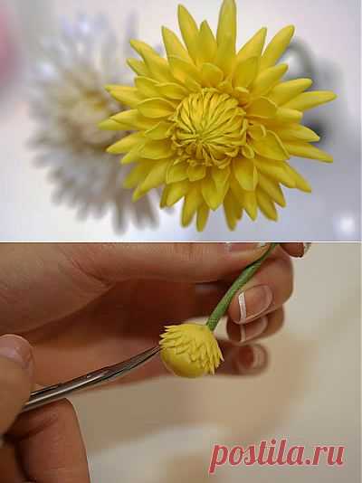 Георгин из фарфора | Подружки