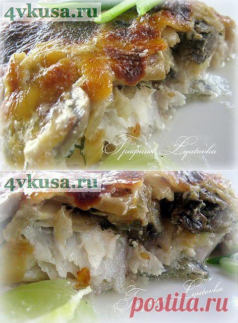 Судак с грибами под сырно-сливочным соусом | 4vkusa.ru
