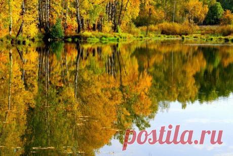 ЗОЛОТАЯ ОСЕНЬ. | Фотографии Olga Ott | 7497 фото