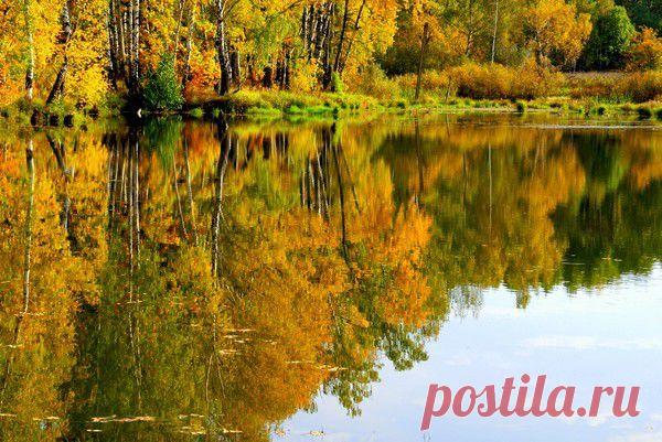 ЗОЛОТАЯ ОСЕНЬ. | Фотографии Olga Ott | 7497 фото