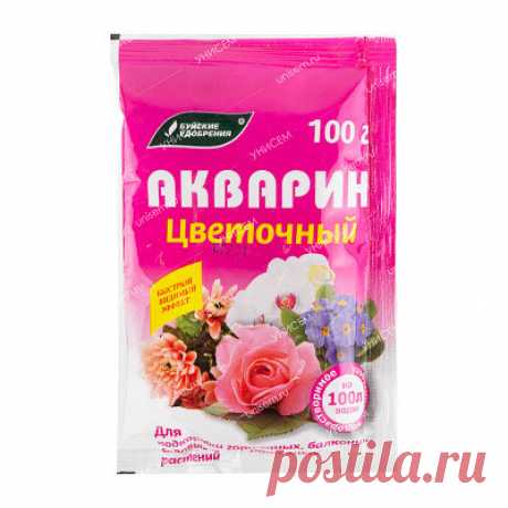 Петунии: посадка, уход, подкормки.

Многообразие расцветок, обилие цветков и длительный период цветения делают это растение очень распространенным на садовых участках. Но, чтобы ваши петунии радовали вас, нужно знать некоторые тонкости ухода за этим цветком.
Петунии: посадка, уход, подкормки., изображение №1
1. Посев семян или посадка саженцев петунии.

Сроки высаживания петунии на рассаду напрямую зависят от места дальнейшего выращивания:

· Открытый грунт - семена сеют с...