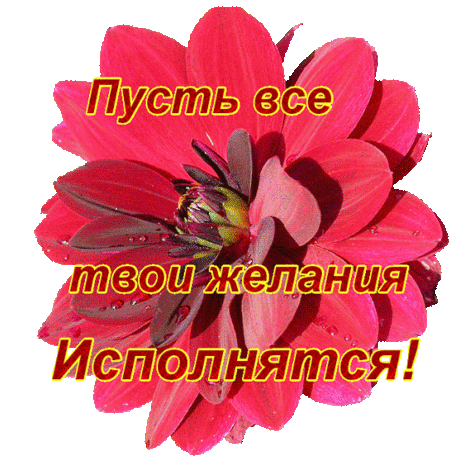 желания.gif (553×553)