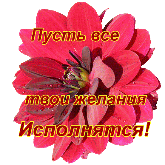 желания.gif (553×553)