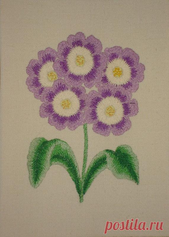 Яндекс.Фотки