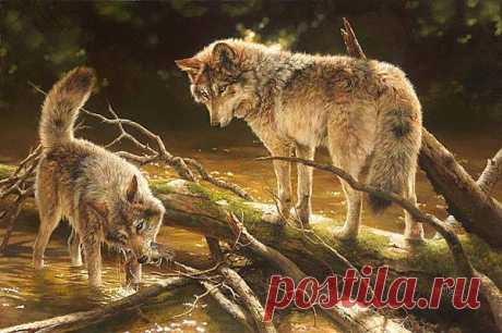 Chronik-Fotos | Facebook