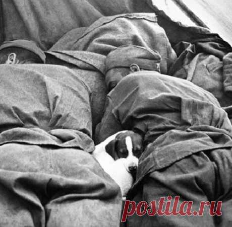 Фотографии войны от которых сжимается сердце