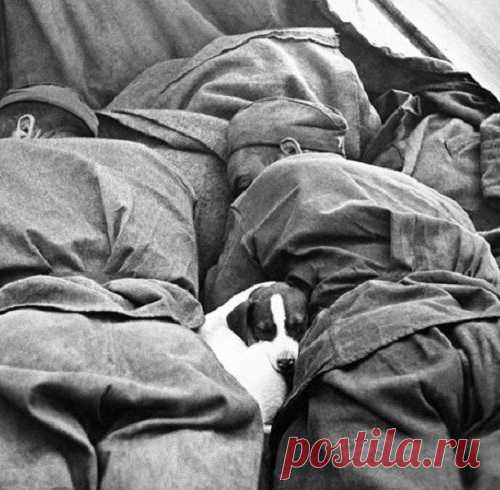 Фотографии войны от которых сжимается сердце