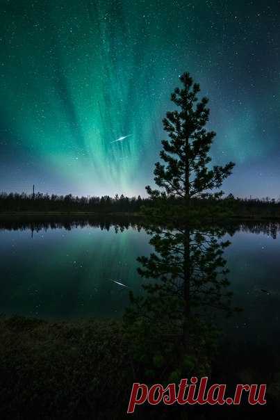 Полярное сияние, Мурманская область. Автор фото: Вадим Ивченко. Добрых снов.