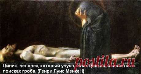 Яндекс.Фотки