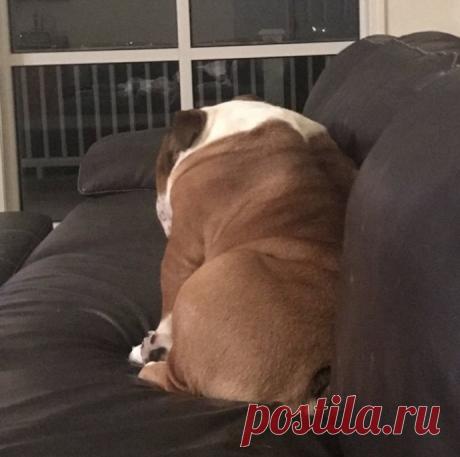 Маленьких обидеть может каждый.