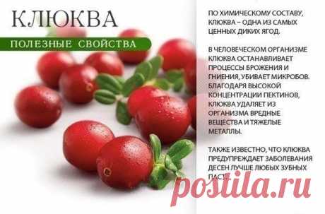На заметку! Это полезно знать