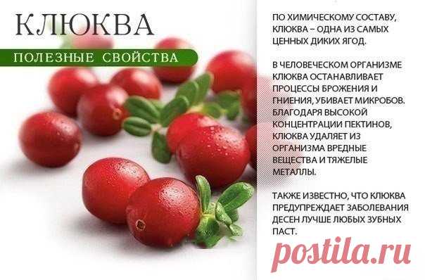 На заметку! Это полезно знать