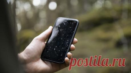 Специалист Ситнов посоветовал открыть лоток для сим-карты при намокании телефона. Эксперт по гаджетам, преподаватель в Московской школе программистов (МШП) Кирилл Ситнов рассказал, как просушить телефон при попадании устройства в воду. Читать далее