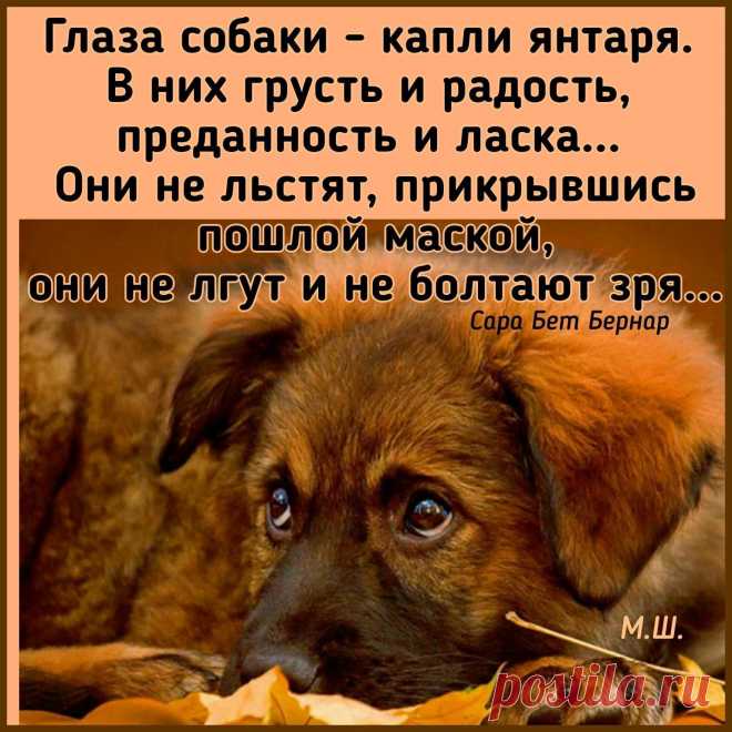 Эх, люди...