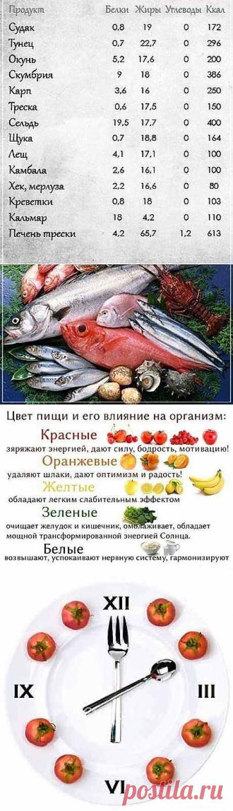 Личный блог Насти Ли » Интересное и любопытное
