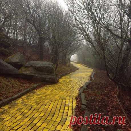 Дорога из желтого кирпича в заброшенном парке &quot;Волшебник из страны Оз&quot;, Северная Каролина, США Автор фото: John Buckner.
Дорога из желтого кирпича, дорога из желтого кирпича.
На ней мы все когда-то жили.
И по дороге мы ходили.
Мы шли и пели под гитару.
Так много лет тому назад.
А годы шли, а мы взрослели.
О прошлом память берегли.
В те дни, когда еще не пели.
Когда в душе еще не тлели.
Те угольки, что сберегли.
От той дороги из желтого камня.
Что на ветру скрипела и скрипела.
Давно у…