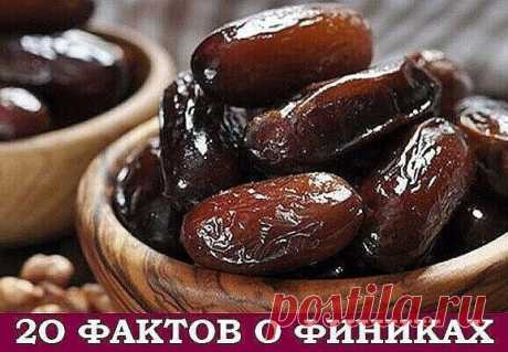 15 ФАКТОВ О ФИНИКАХ