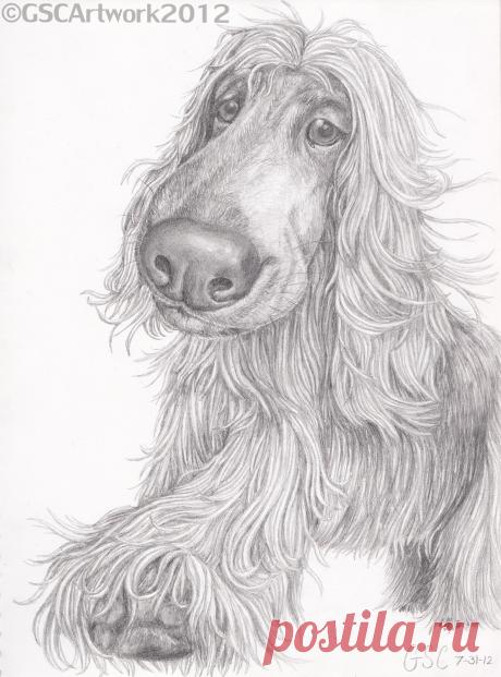 GSC Картина: CARTOONS