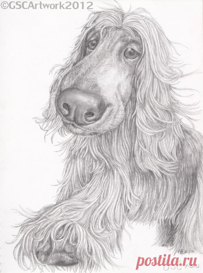 GSC Картина: CARTOONS