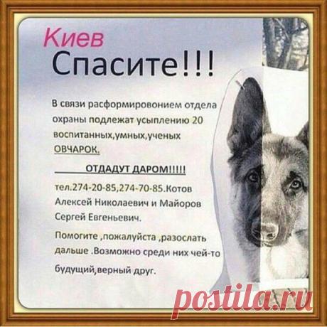 Жека Жоров